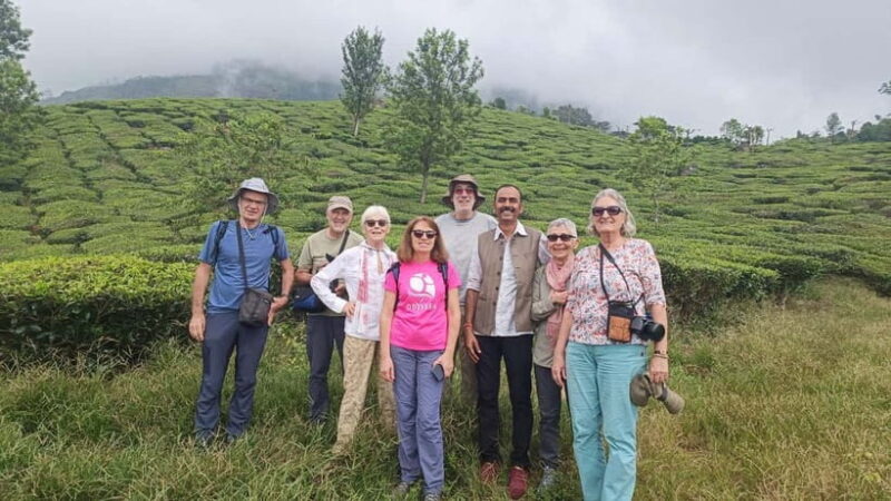 Munnar Nature Walk - Why This Tour Offers Good Value