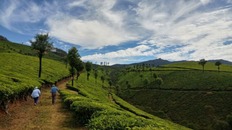 Munnar Private Day Trip - FAQ