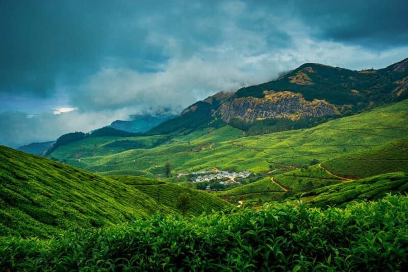 Munnar : Private One Day Tour from Kochi. Free Pickup-Drop - Key Points
