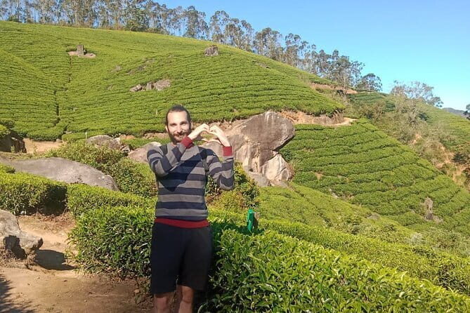 Munnar Tea Plantation Evening walking with Sunset View - The Sum Up