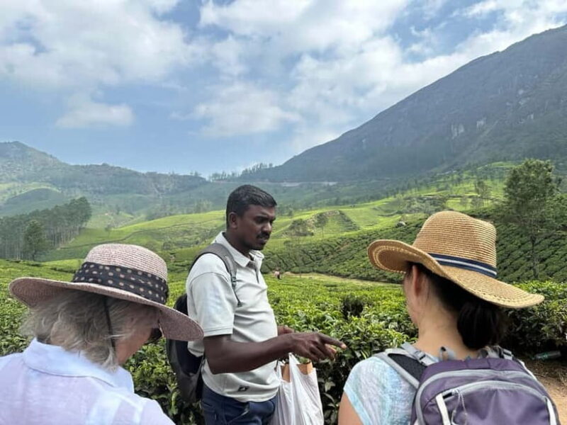 Munnar: Tea trail, Tea Factory, and Tea Tasting Tour - Munnar: Tea Trail, Tea Factory, and Tea Tasting Tour