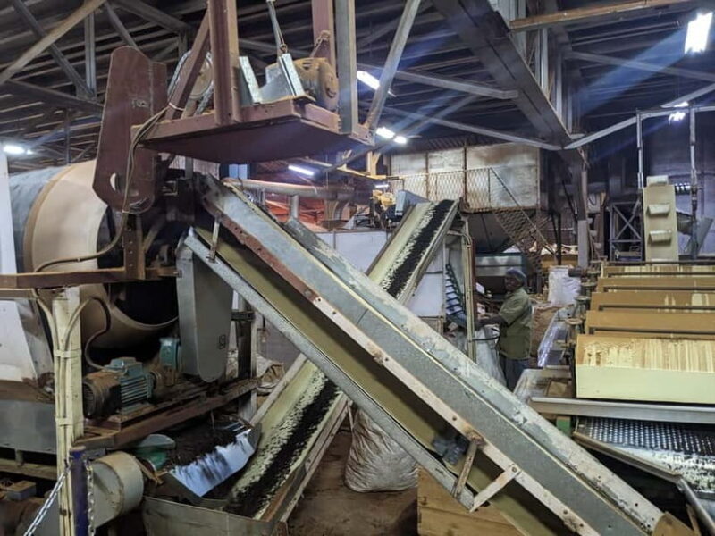 Munnar: Tea trail, Tea Factory, and Tea Tasting Tour - Key Points