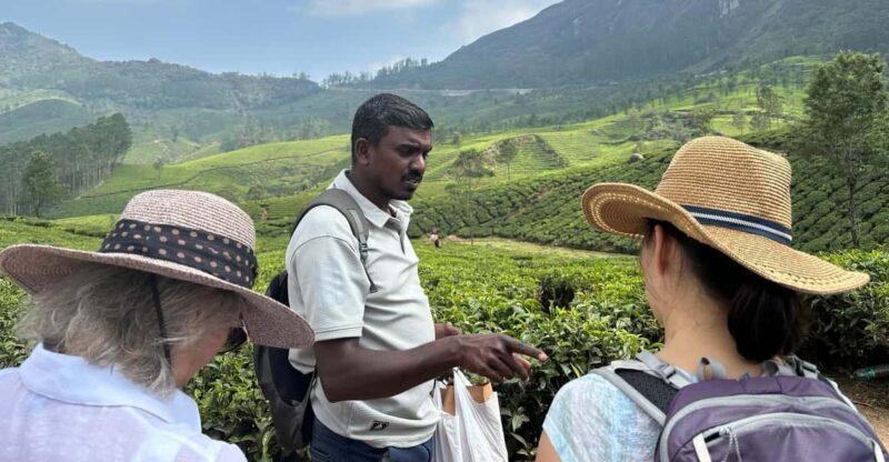 Munnar: Tea trail, Tea Factory, and Tea Tasting Tour - Frequently Asked Questions