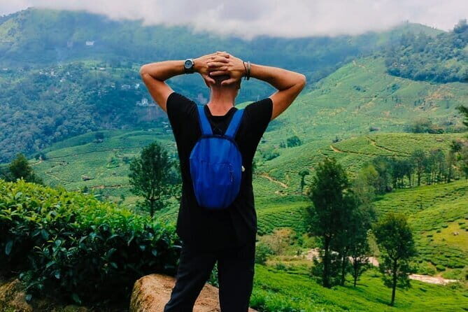 Munnar Tea Trail Tour , Tea factory visit & Tea Tasting - A Close Look at the Experience