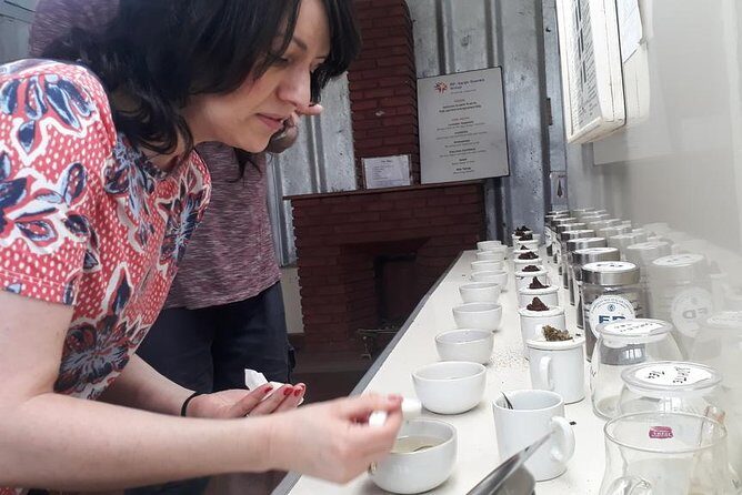 Munnar Tea Trail Tour with Factory Experience ( By Munnar Info) - Key Points