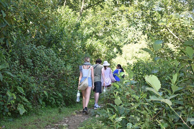 Muong Hoa Valley View & Village Trek in Sapa 1 Day - Key Points