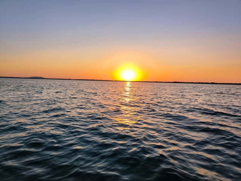 Murighiol: Danube Delta Guided Boat Tour - Exploring the Danube Delta from Murighiol: An In-Depth Review