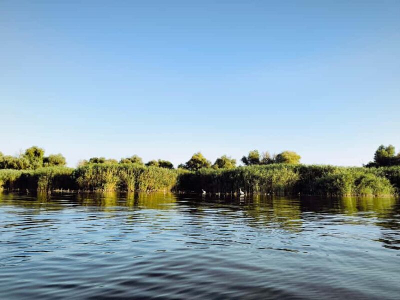 Murighiol: Danube Delta Guided Boat Tour - Frequently Asked Questions
