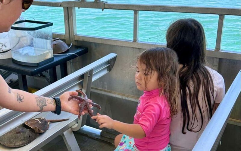 Murrells Inlet: Saltwater Marsh Eco Tour w/ Marine Biologist - Frequently Asked Questions