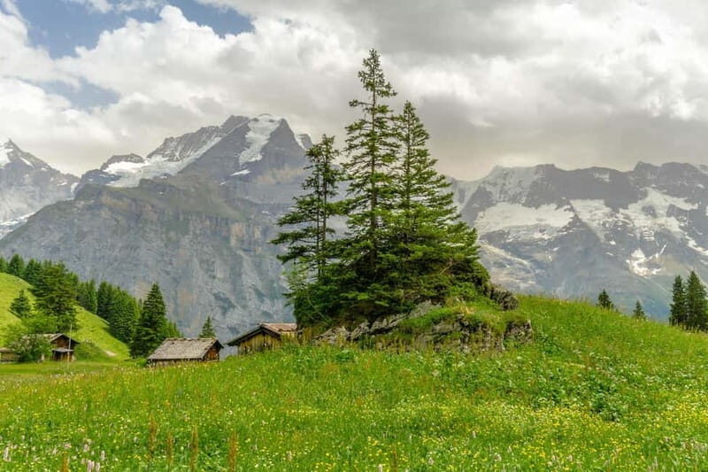 Murren - Private Guided Walking Tour - Who Should Consider This Tour?
