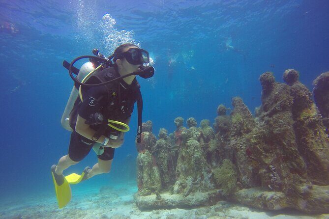 MUSA Diving For Beginners in Cancun - Discover Cancun’s Underwater Sculpture with MUSA Diving for Beginners
