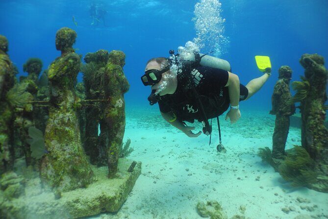 MUSA Diving For Beginners in Cancun - Key Points