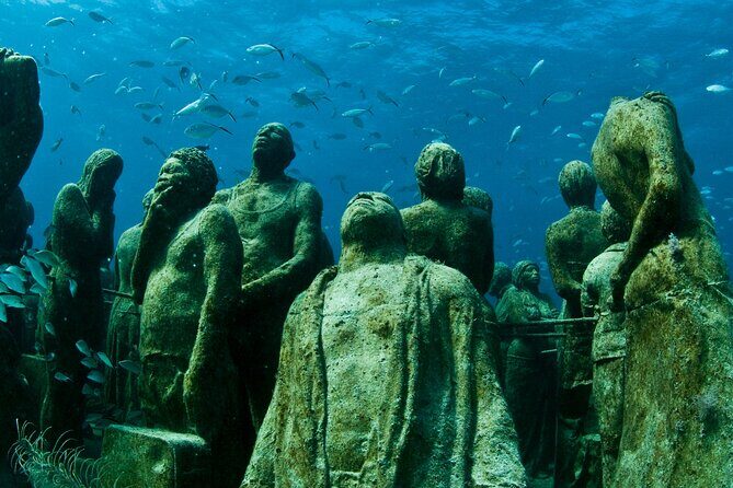 MUSA Diving For Beginners in Cancun - Final Thoughts