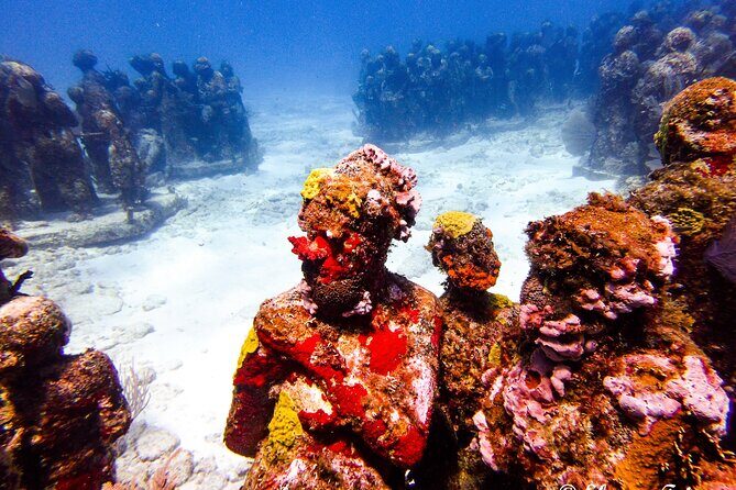 MUSA Museum and Colorful Reef 2 Tank Dive-Certified Divers - Frequently Asked Questions