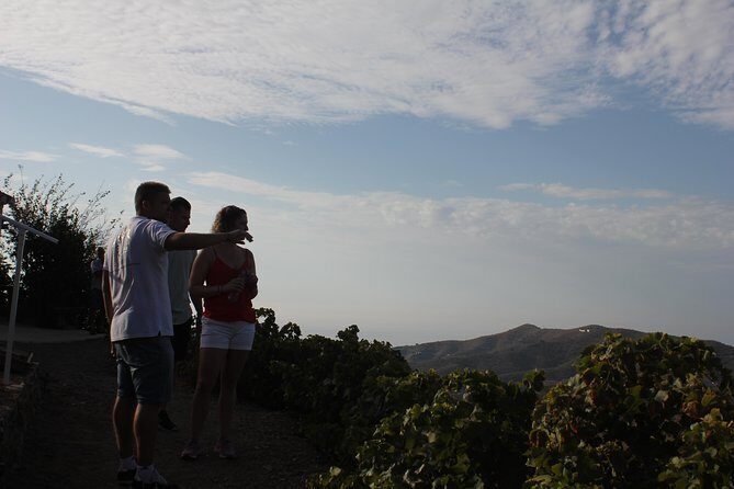 Muscat Raisin Route - Small group with lunch included - Transportation and Group Size