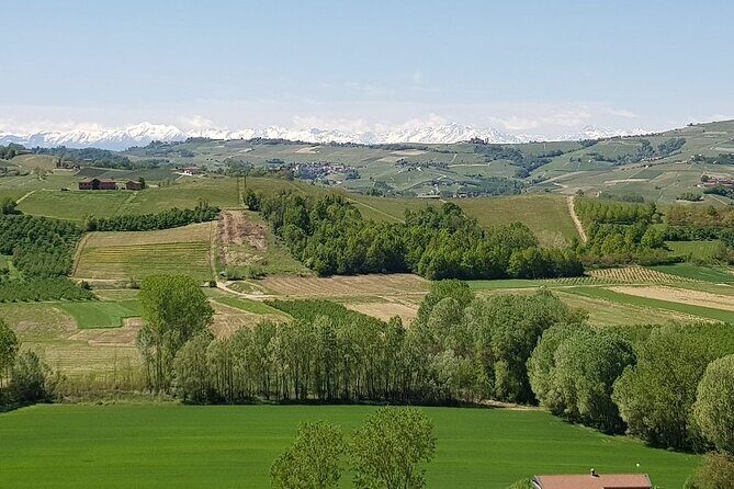 Museo delle Langhe Entrance Ticket - A Deep Dive into the Museo delle Langhe Experience