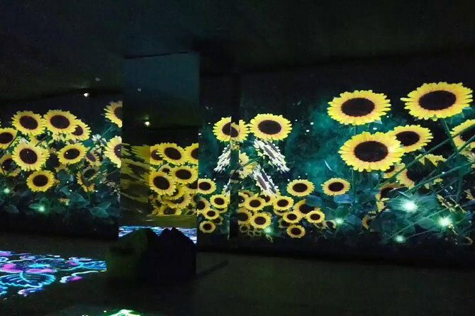 Museum of illusions,Digital Space and Ethnography in Tbilisi - Who Should Consider This Tour?