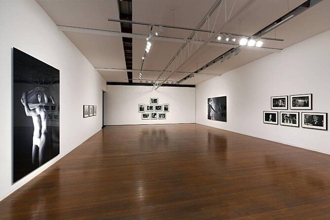 Museum of Modern Art in Rio de Janeiro Guided Tour, Admission & Transfer - In-Depth Review: Discovering Rio’s Modern Art Scene