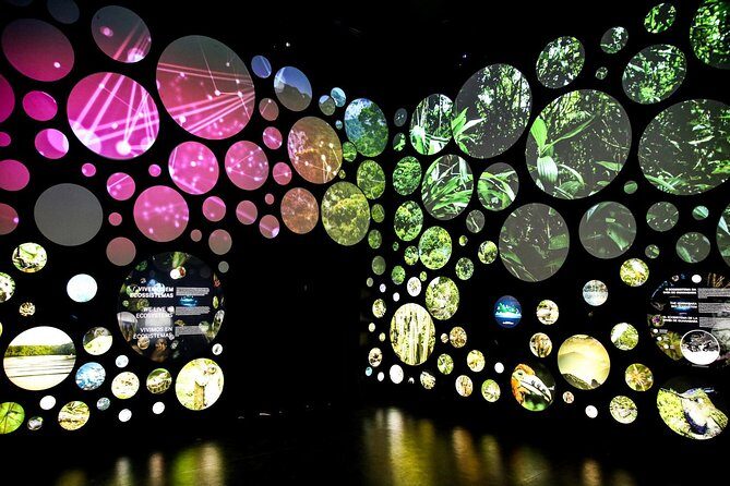 Museum of Tomorrow Guided Tour, Admission & Transfer - Transportation and Group Size