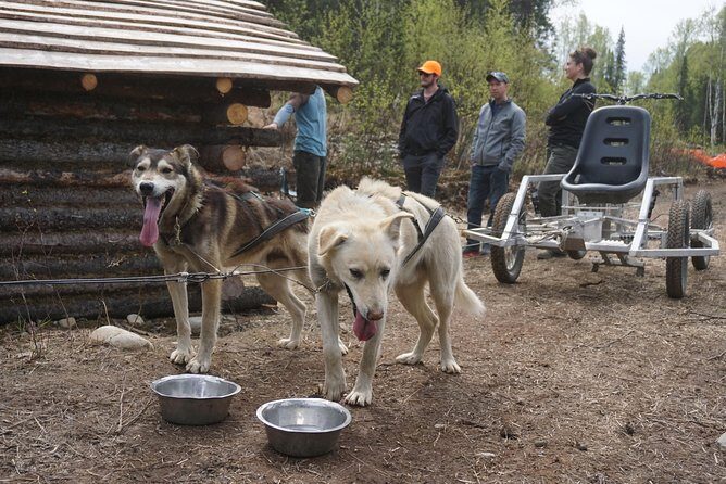 Mush Your Own Sled Dog Team (Summer/Fall Tour) - Final Thoughts
