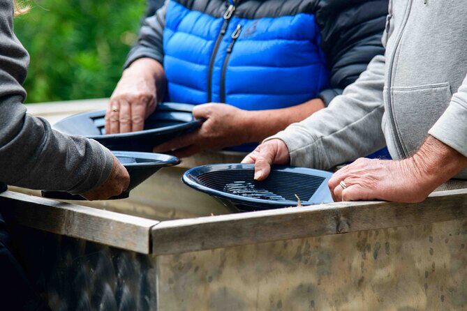 Musher's Camp and Gold Panning Adventure - Who Will Love This Tour?