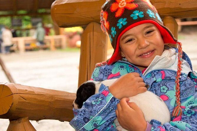 Musher's Camp and S'more Roasting Experience - Exploring the Itinerary in Detail