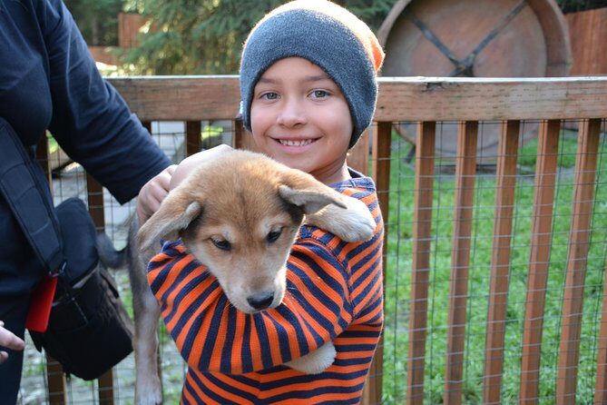 Musher's Camp and S'more Roasting Experience - The Sum Up: Is It Worth It?