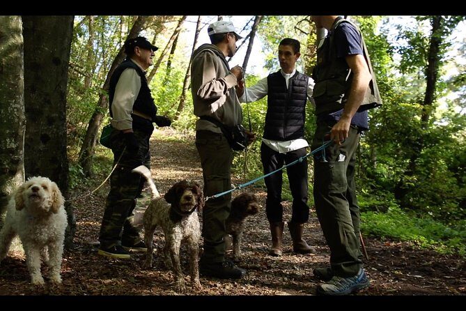 Mushroom or Truffle Hunting - Key Points