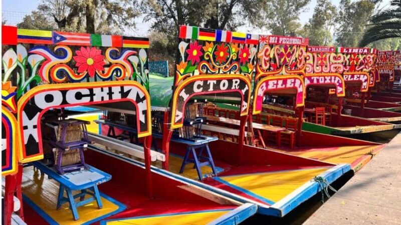 Music and Tequila in Xochimilco, plus a visit to Coyoacán and CU - Final Thoughts