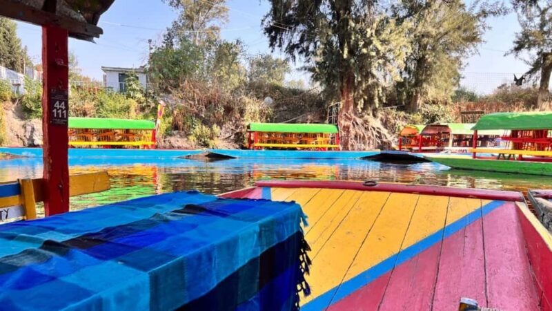 Music and Tequila in Xochimilco visits Coyoacán and CU - Who Should Consider This Tour?