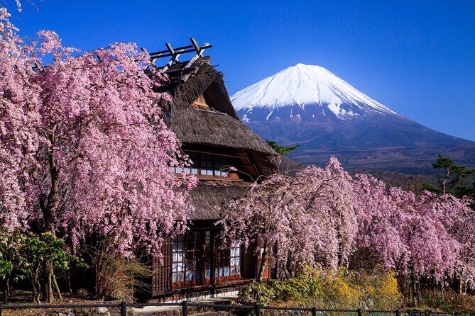 Muslim Friendly Mt. Fuji Tour with Halal Lunch and Prayer Time - What Makes This Tour Stand Out