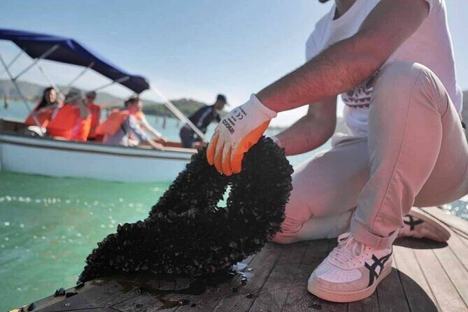 Mussel Sailing Tour with Food and Drink Tasting in Albania - A Detailed Look at the Mussel Sailing Tour Experience