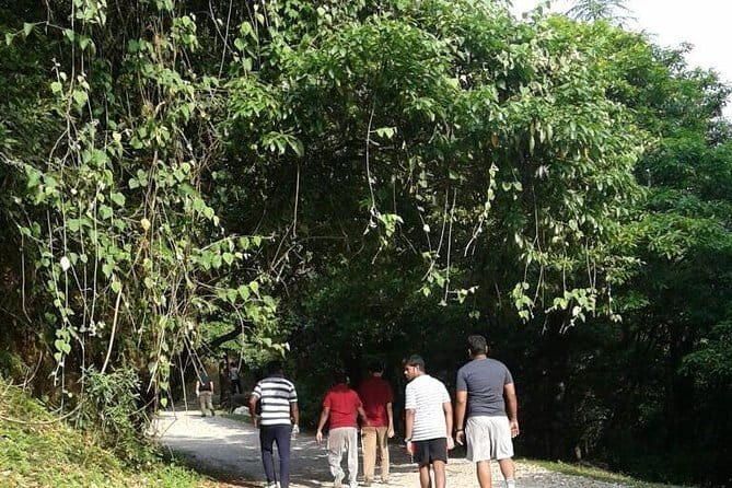 Mussoorie Nature Walk Tour - Exploring the Mussoorie Nature Walk Tour: A Journey Through Forests with Himalayan Views