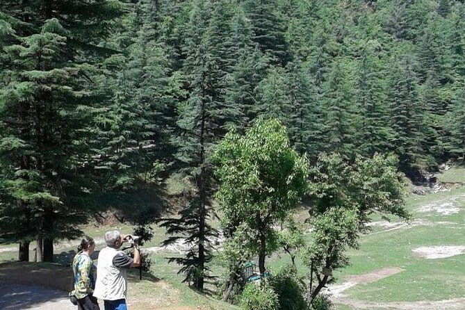 Mussoorie Nature Walk Tour - Key Points