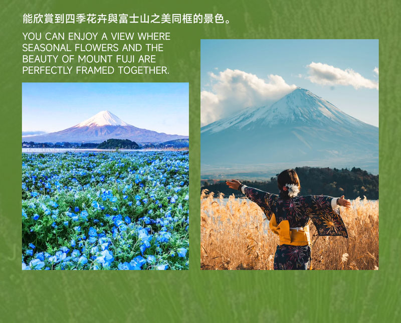 Must-Do for Families: Fuji Safari Park x Oshino Hakkai x Oishi Park | See Animals Up Close - Day Trip to Mount Fuji (From Tokyo) - Oshino Hakkai: clear water and a slower pace