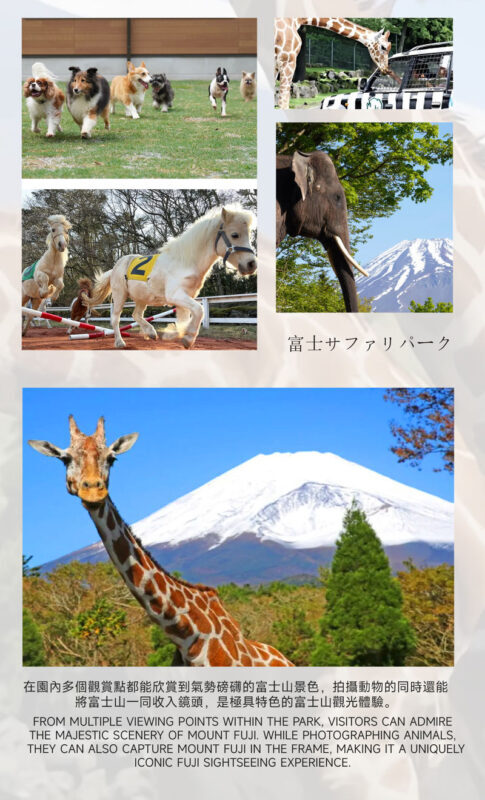 Must-Do for Families: Fuji Safari Park x Oshino Hakkai x Oishi Park | See Animals Up Close - Day Trip to Mount Fuji (From Tokyo) - What the price includes, and what you pay on site