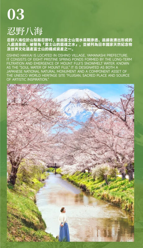 Must-Do for Families: Fuji Safari Park x Oshino Hakkai x Oishi Park | See Animals Up Close - Day Trip to Mount Fuji (From Tokyo) - The long ride and the fixed schedule
