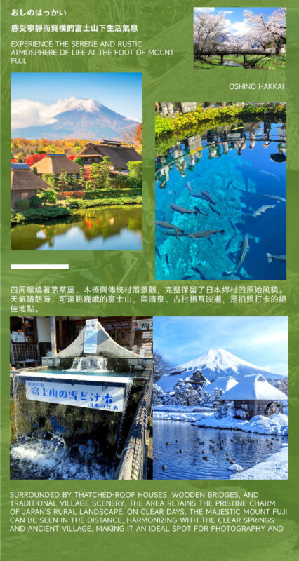 Must-Do for Families: Fuji Safari Park x Oshino Hakkai x Oishi Park | See Animals Up Close - Day Trip to Mount Fuji (From Tokyo) - Who will get the most from this day