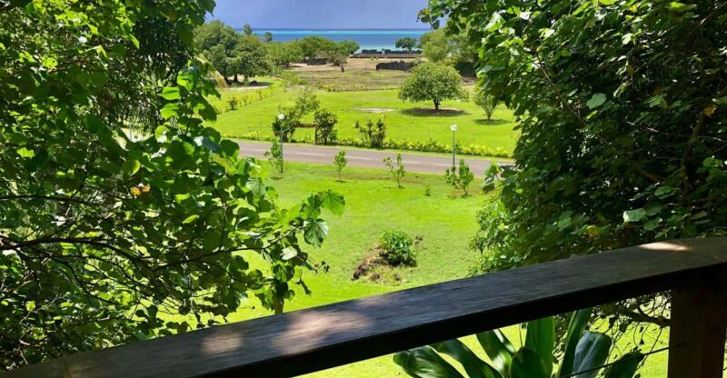 Must-Do : Nature, Culture & Moments Uniques  MirimirI Tours - Must-Do: Nature, Culture & Moments Uniques with MirimirI Tours