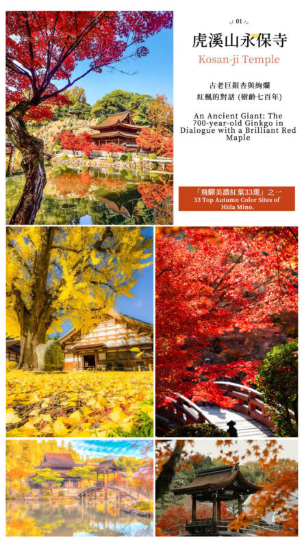Must-See Autumn Foliage Spots in Nagoya, Japan | Kokeizan Eiho-ji Temple: 700-Year-Old Ginkgo Trees & the Unique Spectacle of Obara Cherry Blossoms and Maple Leaves Together & Korankei Valley Autumn Leaves One-Day Tour - Three very different autumn scenes