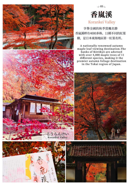 Must-See Autumn Foliage Spots in Nagoya, Japan | Kokeizan Eiho-ji Temple: 700-Year-Old Ginkgo Trees & the Unique Spectacle of Obara Cherry Blossoms and Maple Leaves Together & Korankei Valley Autumn Leaves One-Day Tour - Obara: cherry blossoms in the season of red leaves