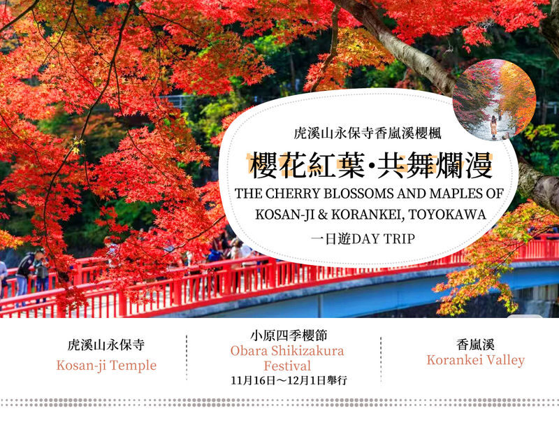 Must-See Autumn Foliage Spots in Nagoya, Japan | Kokeizan Eiho-ji Temple: 700-Year-Old Ginkgo Trees & the Unique Spectacle of Obara Cherry Blossoms and Maple Leaves Together & Korankei Valley Autumn Leaves One-Day Tour - Korankei: the day’s main maple stop
