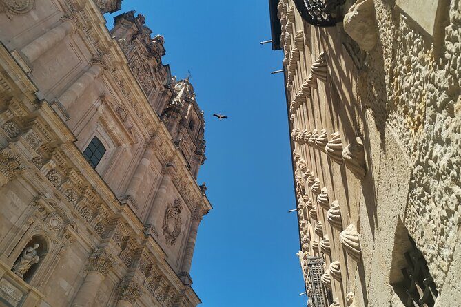 Must see Salamanca Walking Tour (could be billingual) - Key Points