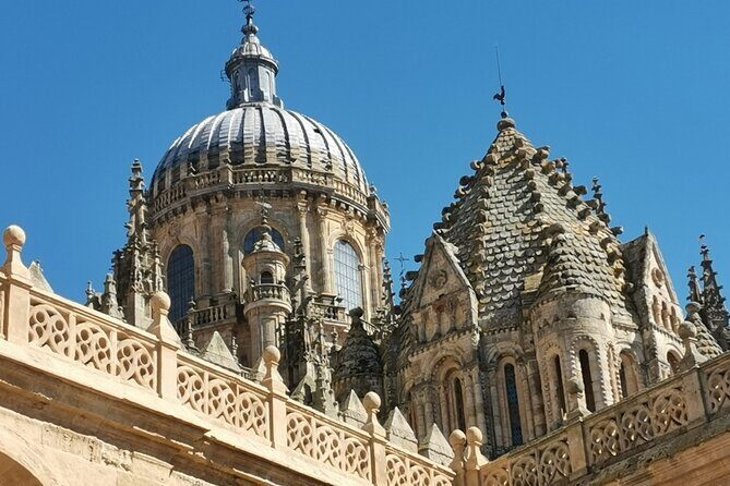 Must see Salamanca Walking Tour (could be billingual) - FAQs
