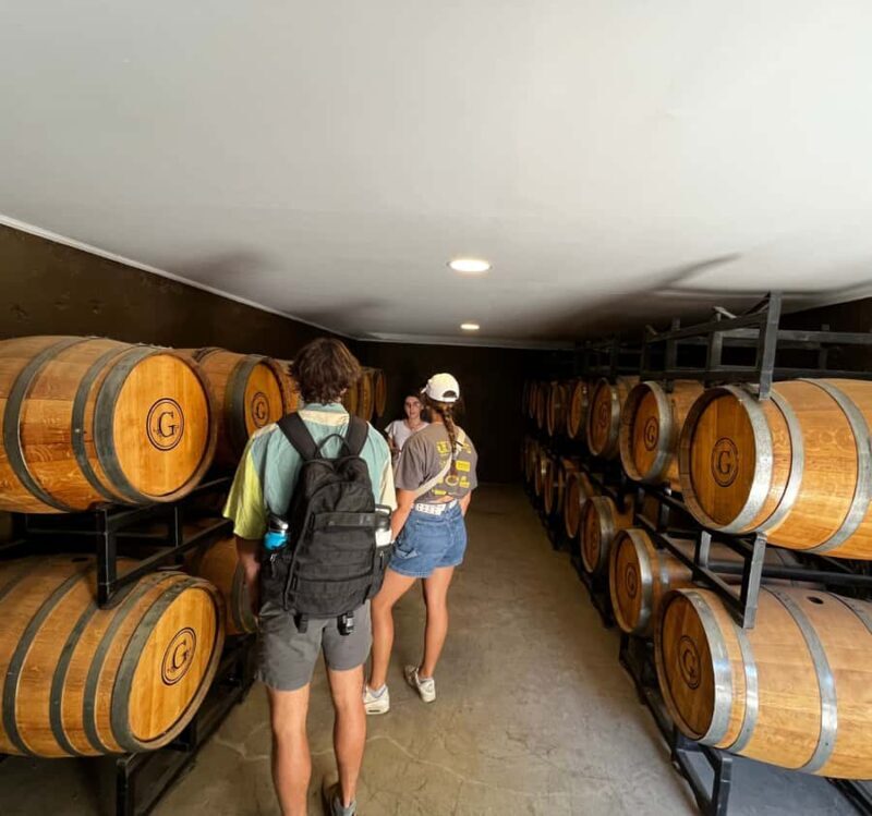 Must-sees of the Elqui Valley - A Detailed Look at the Elqui Valley Tour