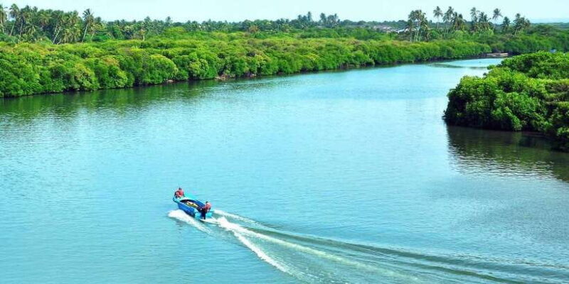 Muthurajawela Bird Watching Tour from Negombo and Colombo - Muthurajawela Bird Watching Tour from Negombo and Colombo