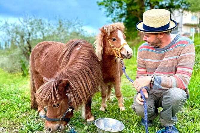 My Farm - three experiences in one day - Final Thoughts