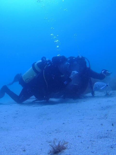My first scuba dive in the Ocean from Madeira - A Close Look at the Experience: What You Can Expect