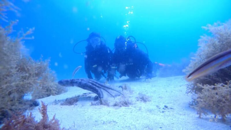 My first scuba dive in the Ocean from Madeira - A Thorough Breakdown: Why You’ll Love It (or Not)