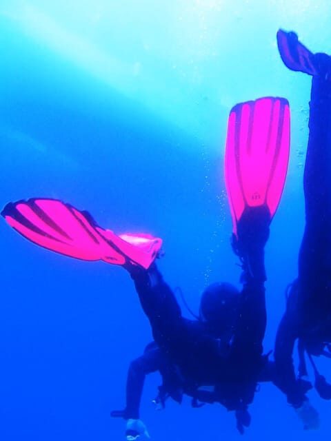 My first scuba dive into the Ocean from Sao Miguel - My First Scuba Dive into the Ocean from São Miguel: A Complete Review
